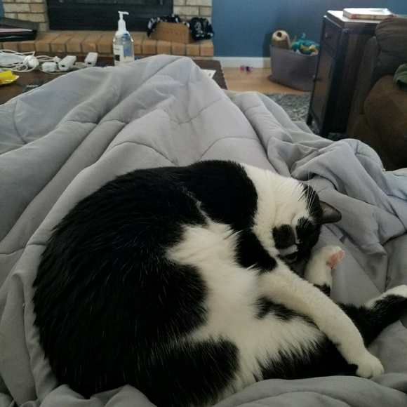 Meet your Posher, Allison - Picture 1 of 1